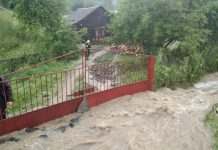 На Закарпатті сильні дощі затопили будинки та дороги