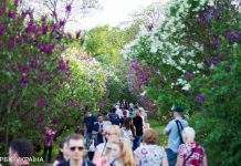 В Україну йде потепління: синоптики назвали дату