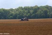 В Україні з 1 липня дозволили купівлю-продаж землі: як працюватиме ринок
