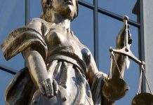 Суд заарештував колишнього керівника філії Державної продовольчо-зернової корпорації України