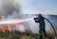 Синоптики попередили про пожежну небезпеку в Україні