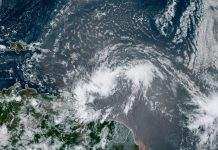 У Флориді ввели режим НС в 15 округах штату через ураган “Ельза”