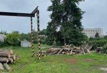 Вирубували ліс під час пожеж: у Луганській області викрито “схему” на мільйон гривень