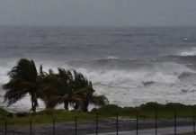 Тропічний шторм “Ельза” вже дістався до Куби: вітер, злива і хвилі більше метра