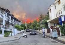 На півдні Туреччини в результаті лісових пожеж постраждали понад 180 осіб