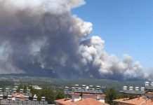 Ще один загиблий. Жертвами лісових пожеж у Туреччині стало вже чотири людини