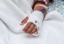 У Львівській області дитину вкусила змія. Хлопчик в реанімації