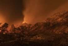 У Росії лісові пожежі. До гасіння вогню задіяли авіацію