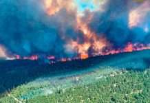 Масштабна лісова пожежа знищила невелике місто в Канаді