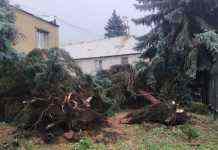 Через негоду в Україні загинули двоє людей, ще семеро потрапили в лікарні