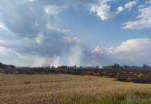 У Чернігівській області горить пшеничне поле