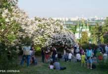 Вага, зріст, освіта: Держстат склав портрет середнього українця