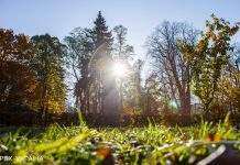 В Україну йде різке похолодання. Температура вночі впаде нижче 10 градусів