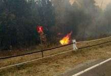 Жителів половини областей України попередили про надзвичайну пожежну небезпеку