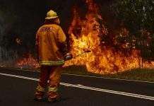 Планета у вогні: NASA опублікувало карту пожеж