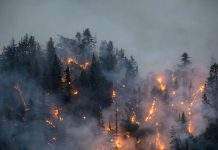 Пожежі в Каліфорнії загрожують житловим районам: тисячі людей евакуювали