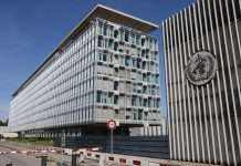 ВООЗ не вистачило грошей на боротьбу з пандемією COVID-19