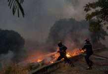 Поблизу Афін спалахнули нові пожежі: мешканців двох сіл евакуювали