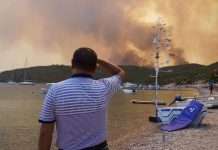 Турецька поліція затримала російських туристів за підозрою в підпалах лісів