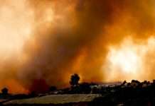 Ситуація стабілізується: у Туреччині локалізували 129 лісових пожеж