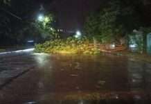 Від негоди у Львові загинуло дві людини