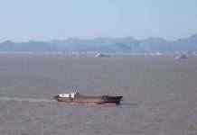 У Китаї частково закрили третій за завантаженістю порт світу через COVID