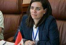 Посол Канади назвала закон про олігархів небезпечним