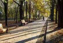 Метеорологічна осінь прийшла до Києва майже на місяць раніше, ніж минулого року