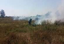 Синоптики попередили про пожежну небезпеку майже по всій Україні