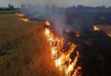 В Україні в найближчі дні утримається надзвичайна пожежна небезпека