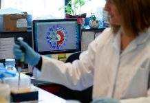 Lancet розпустив робочу групу, яка розслідувала походження COVID-19