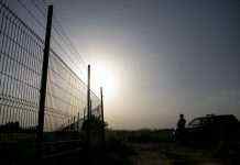 Білоруські прикордонники затримали та депортували “порушника з України”