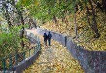 Майже всю Україну накриють дощі, вночі місцями похолодає до +3: прогноз на середу