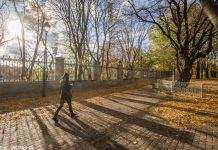 Прийде потепління, а дощі припиняться: прогноз погоди на вихідні