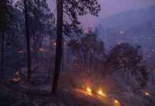 У Каліфорнії через ризик пожеж закрили всі національні парки