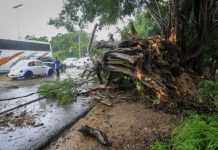 Повінь у Мексиці затопила понад три тисячі будинків