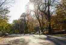 У Києві зафіксували перший температурний рекорд цієї осені