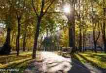 Сонячно, а вдень подекуди до +19: якою буде погода в Україні сьогодні