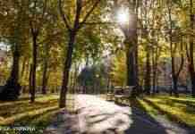 Прохолодно, але сонячно: якою буде погода сьогодні в Україні