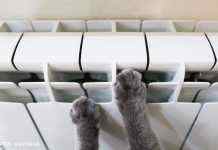 Коли ввімкнуть опалення у Києві: відповідь КМДА