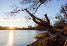 Рада ООН з прав людини визнала право людей на чисте довкілля