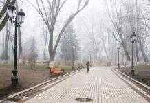 Завтра Україну накриє туман: де погіршиться видимість