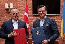 Туреччина зацікавилася можливостями українського авіазаводу “Антонов”, – Кулеба