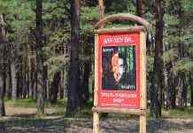 Кабмін пропонує криміналізувати низку злочинів проти навколишнього середовища