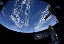 “Х’юстон, у нас є перець”: на МКС вперше виростили чилі