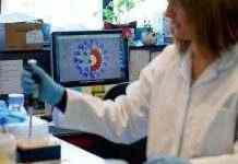 Коронавірус “Дельта” особливо небезпечний для вагітних жінок, – лікарі в США