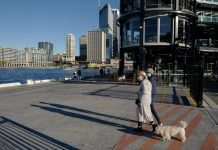 Вакцинація більше 70%: у Сіднеї відкрили бари та спортзали для людей з щепленнями