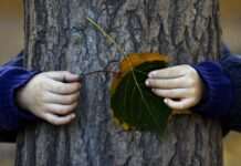 В Україну йде похолодання з морозами: синоптики назвали дату