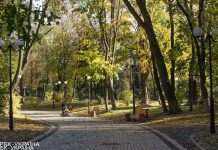 В Україні найближчої ночі очікуються морози до 5 градусів