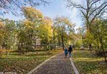 Без опадів і до +17 вдень: прогноз погоди на сьогодні